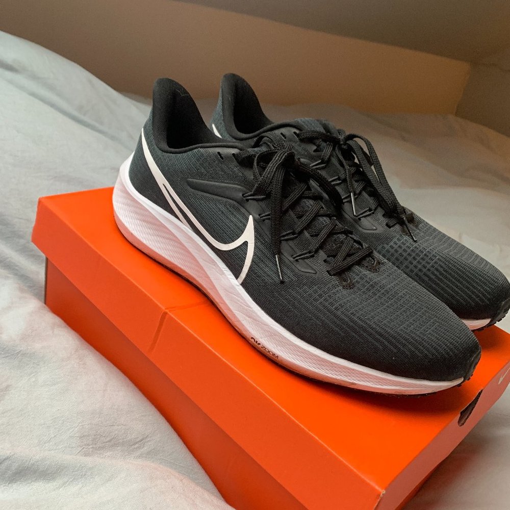 Nike Pegasus 40